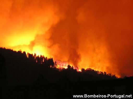 Incêndio em Coimbra 2005 - 3