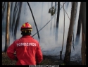 Incendio Referido em 
http://www.bombeiros-portugal.net/viewtopic.php?t=12177
Na SilvÃ£. em 11-8-2009 Um incÃªndio em pinhal em SilvÃ£, concelho da Mealhada, no distrito de Aveiro, deflagrou Ã s 16h14 e foi circunscrito Ã s 17h45, segundo o site da Autoridade Nacional de ProtecÃ§Ã£o Civil.

68 bombeiros combateram as chamas, com a ajuda de 18 veÃ­culos, um helicÃ³ptero de ataque inicial e um aviÃ£o de ataque inicial.