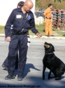 2º Encontro Cães de Busca e Salvamento - Óbidos 2007