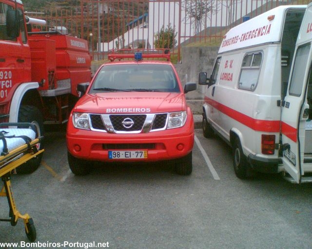 vlci 04 bvloriga 920