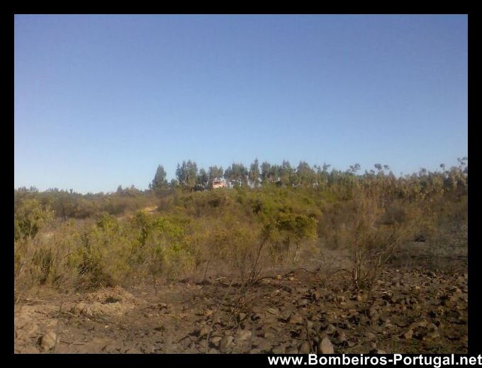 incendio aljezur agosto 2008 - 2