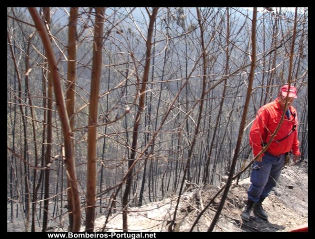Incendio gildinho castelo de paiva 20 julho 200914