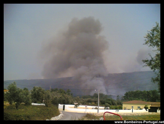 incêndio florestal - 2