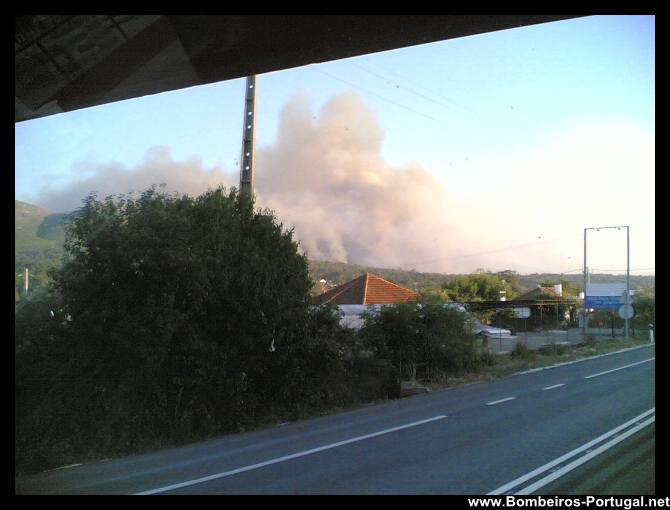 incêndio florestal - 6