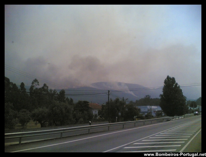 incêndio florestal - 10