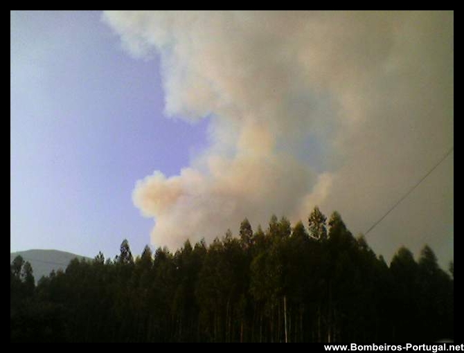 incêndio florestal - 12