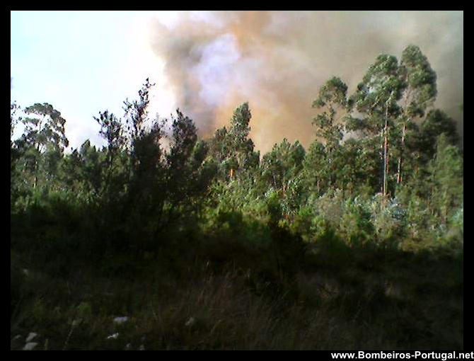 incêndio florestal - 13