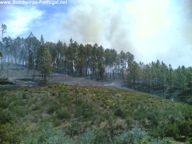 Incêndio em Moitas - Proença-a-Nova (Verão de 2006) - 3