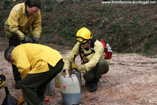 Queimada controlada na Serra do Bussaco - 15