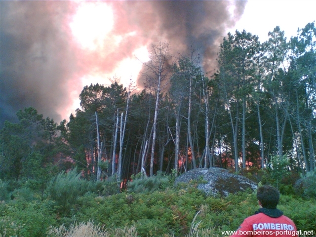 incendio em monteiras castro daire