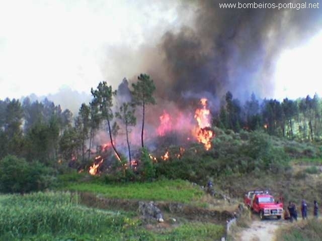 incendio sobral de pinho junho 2005
