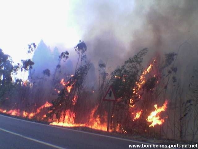 incendio valadares s pedro do sul agosto de 2006