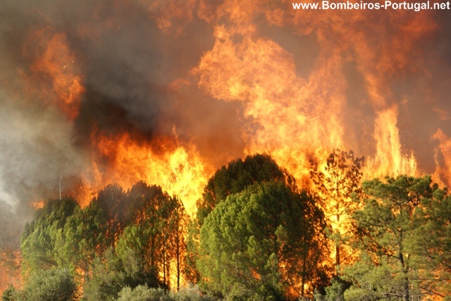 INCENDIO-ARNEIRO DAS MILHARIÇAS(SANTAREM)03.11.07