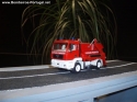 Miniaturas de coleccionador particular