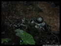 Por onde a agua passou, levou tudo.
fotos tiradas por residentes na ilha Terceira Por onde a agua passou, levou tudo.
fotos tiradas por residentes na ilha Terceira