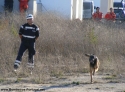 2º Encontro Cães de Busca e Salvamento - Óbidos 2007
